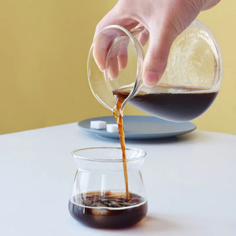 Elegant Glass Coffee Carafe Set for Pour Over Perfection